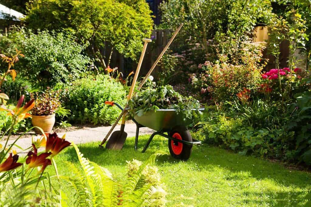 garden-fence-best-gardening-service-in-dubai