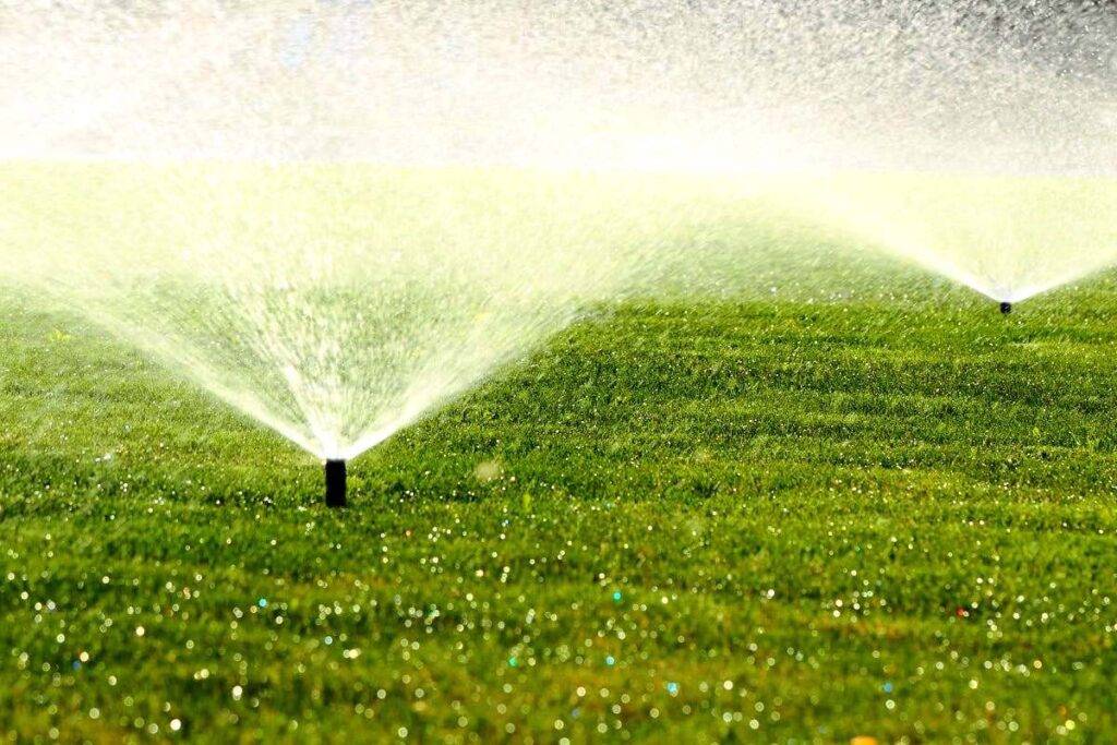 best-Irrigation System-gardening-service-in-dubai