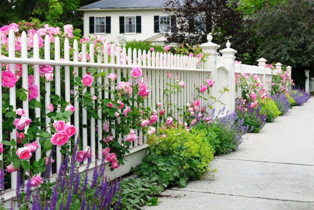 garden-fence-best-gardening-service-in-dubai